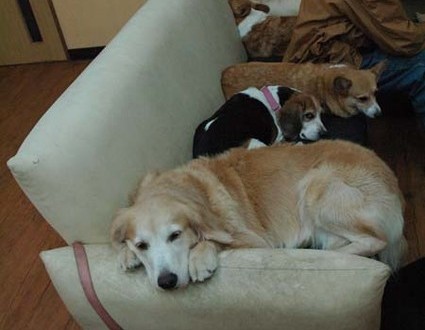 1380944653-2263155110