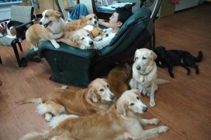 1380944654-2075037813