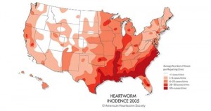 1380944657-1712742677