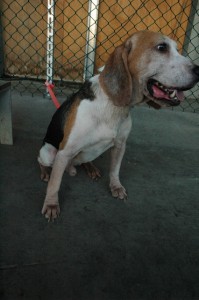 1380944700-2863840343