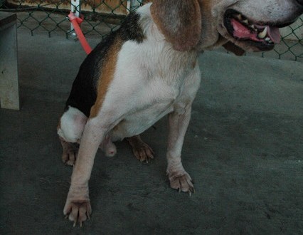 1380944700-2863840343