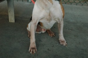 1380944701-738895072