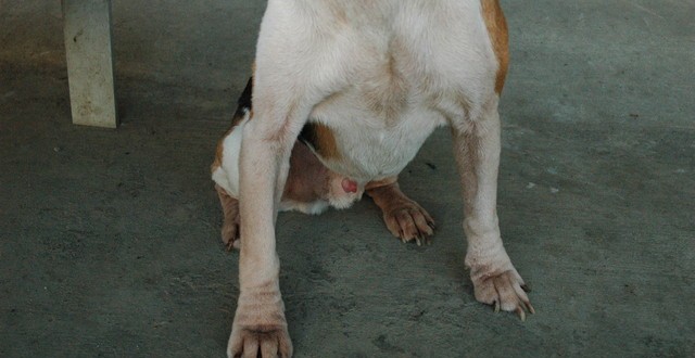 1380944701-738895072