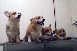 1380944704-177419556