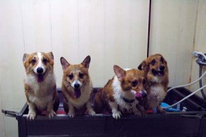 1380944705-1429343341