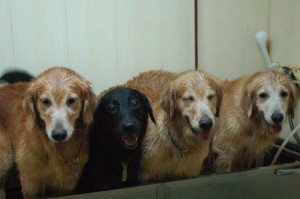 1380944705-1866634842