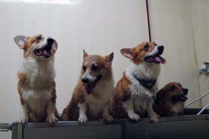 1380944705-2646715983