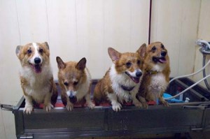 1380944706-139303438