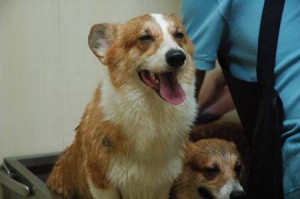 1380944706-1993392295