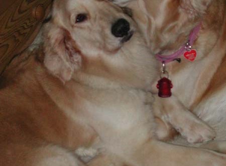 1380944709-1297940410