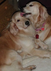 1380944709-1297940410