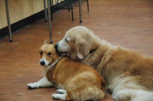 1380944709-3535483524