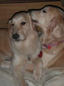 1380944709-437378526