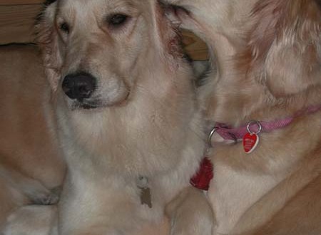 1380944709-437378526