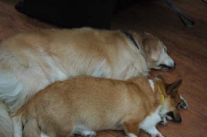 1380944710-1632245538