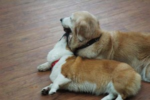 1380944711-2080774533