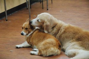 1380944711-2279076052