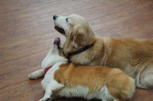 1380944711-956114271