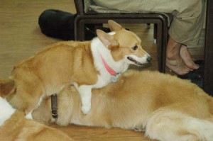 1380944712-1678185917