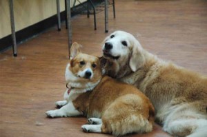 1380944712-4074153223