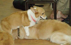 1380944713-1571827811