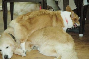 1380944713-2420178433