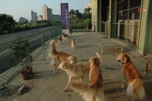 1380944714-1724168746