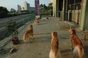 1380944714-2825980626