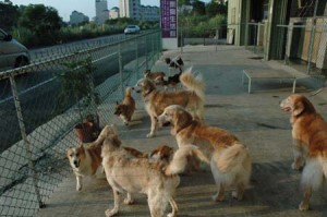 1380944715-2160601258