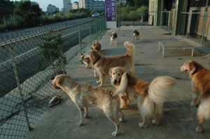 1380944715-2512212536