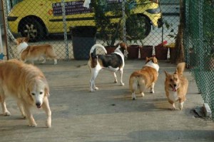 1380944715-784206451