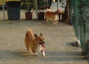 1380944716-1868643321