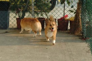 1380944716-1954978778