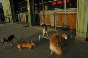 1380944717-2560886215