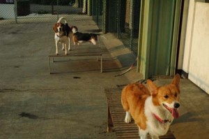 1380944717-2972826530