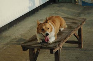 1380944717-577643393