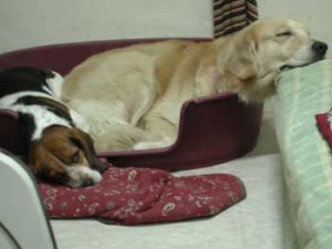 1380944719-789099316