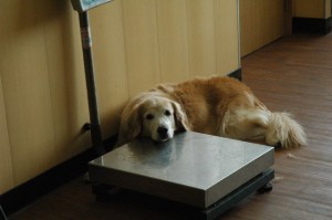 1380944719-925165427