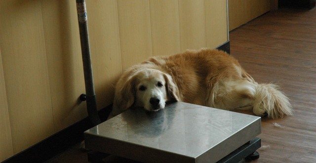 1380944719-925165427