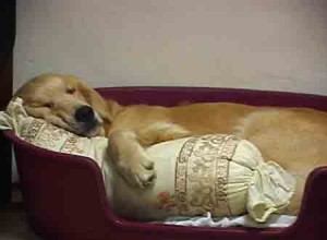 1380944720-1559920067