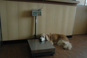 1380944720-1914445888