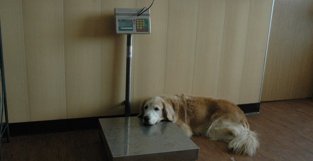 1380944720-1914445888