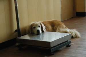 1380944720-2017142025