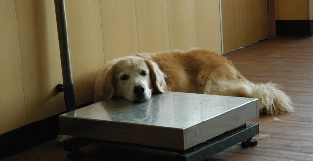 1380944720-2017142025