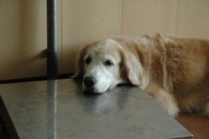 1380944721-142884785