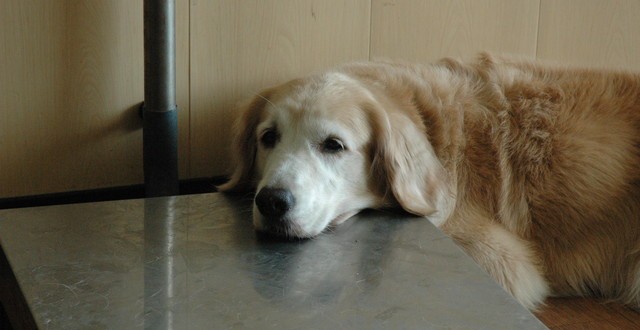 1380944721-142884785