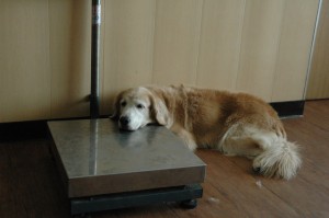 1380944721-2558459320