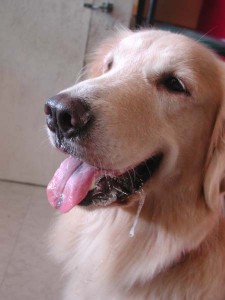 1380944722-3014559396