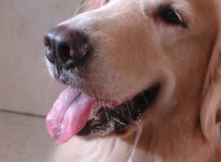 1380944722-3014559396