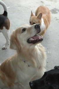 1380944723-1629136334